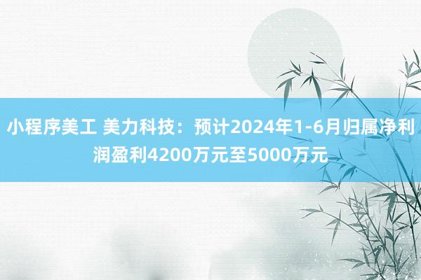 小程序美工 美力科技：预计2024年1-6月归属净利润盈利4200万元至5000万元