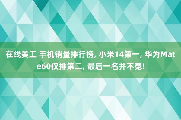 在线美工 手机销量排行榜, 小米14第一, 华为Mate60仅排第二, 最后一名并不冤!